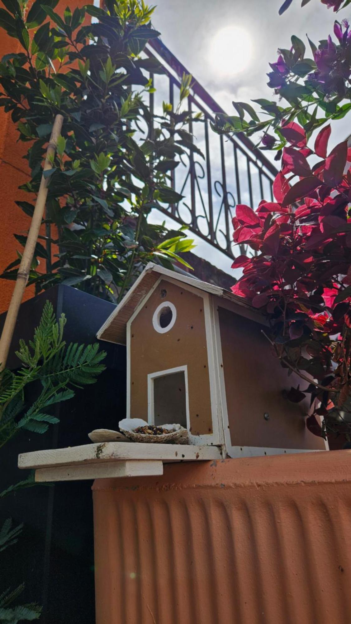 Mexicana Apartment Pink Zadar Eksteriør bilde